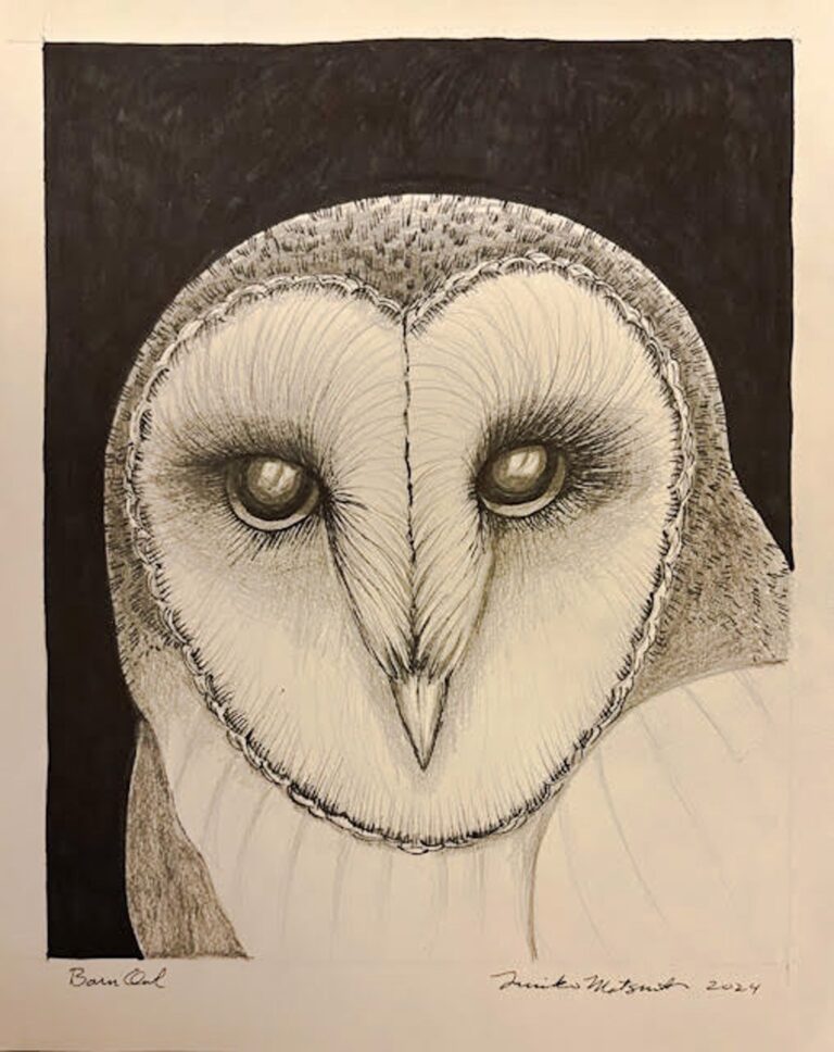 Barn Owl by Fumi Matsumoto