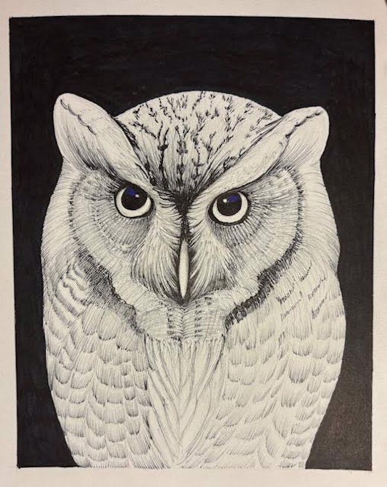 Owl by Fumi Matsumoto