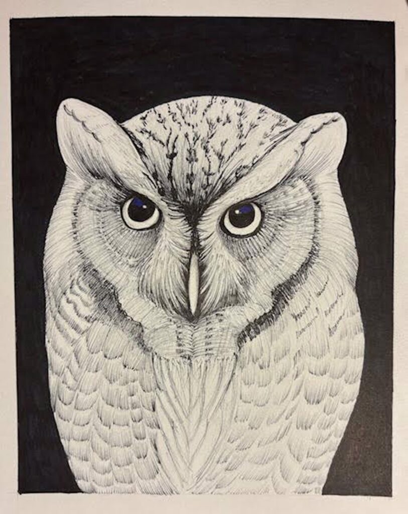 Owl