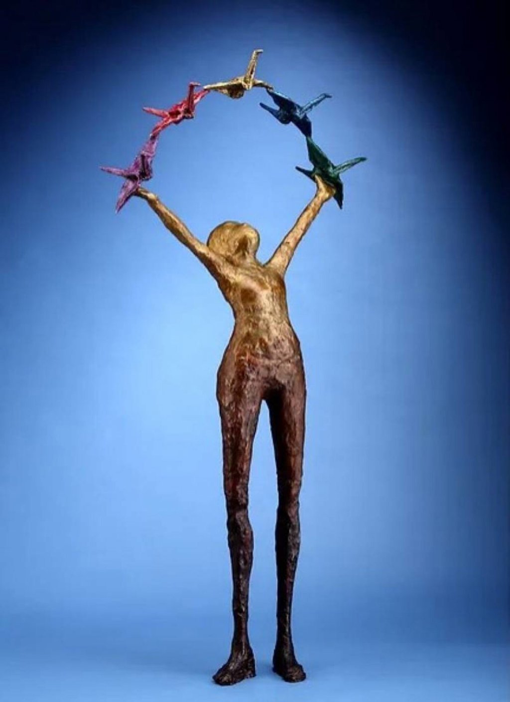 Lorri Acott