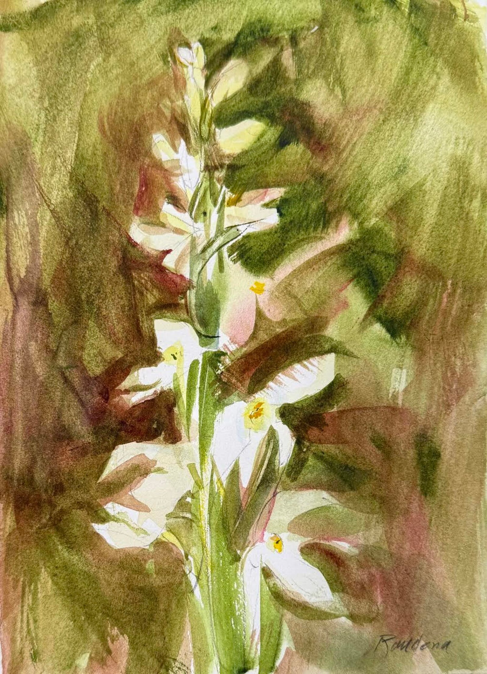 Bog Orchid — JG Art Gallery