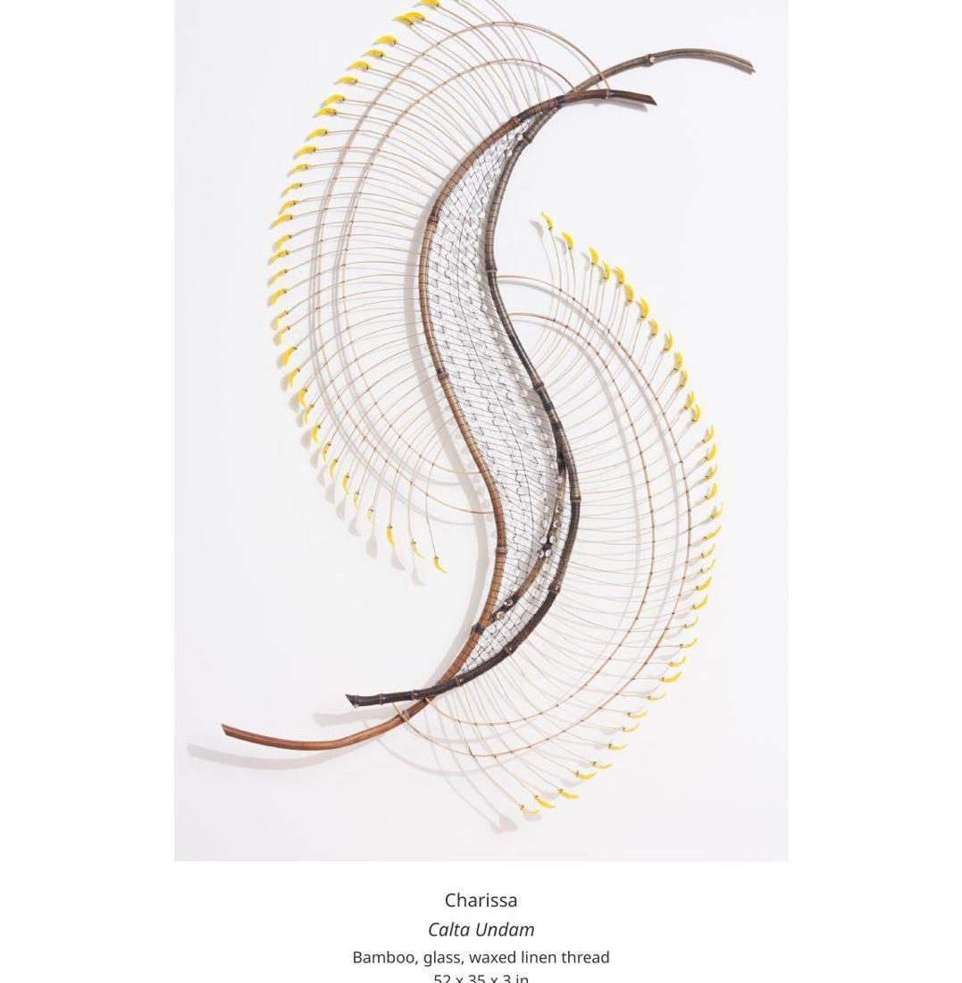 Calta Undam by Charissa Brock