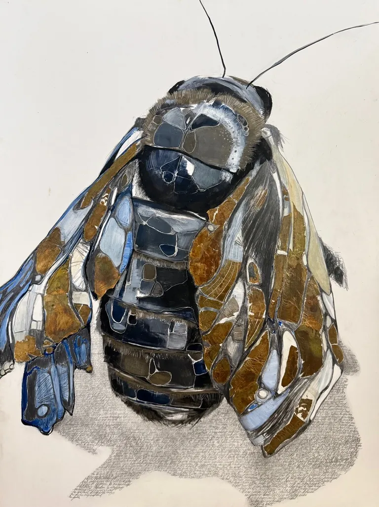 Britt Freda — Here, Carpenter Bee is an Architect