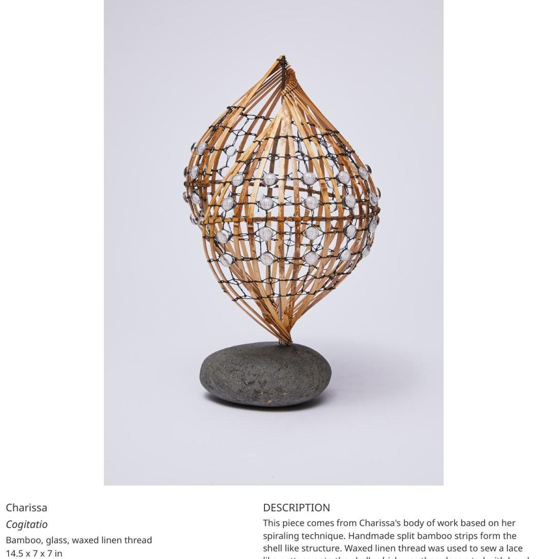 Cogitatio by Charissa Brock