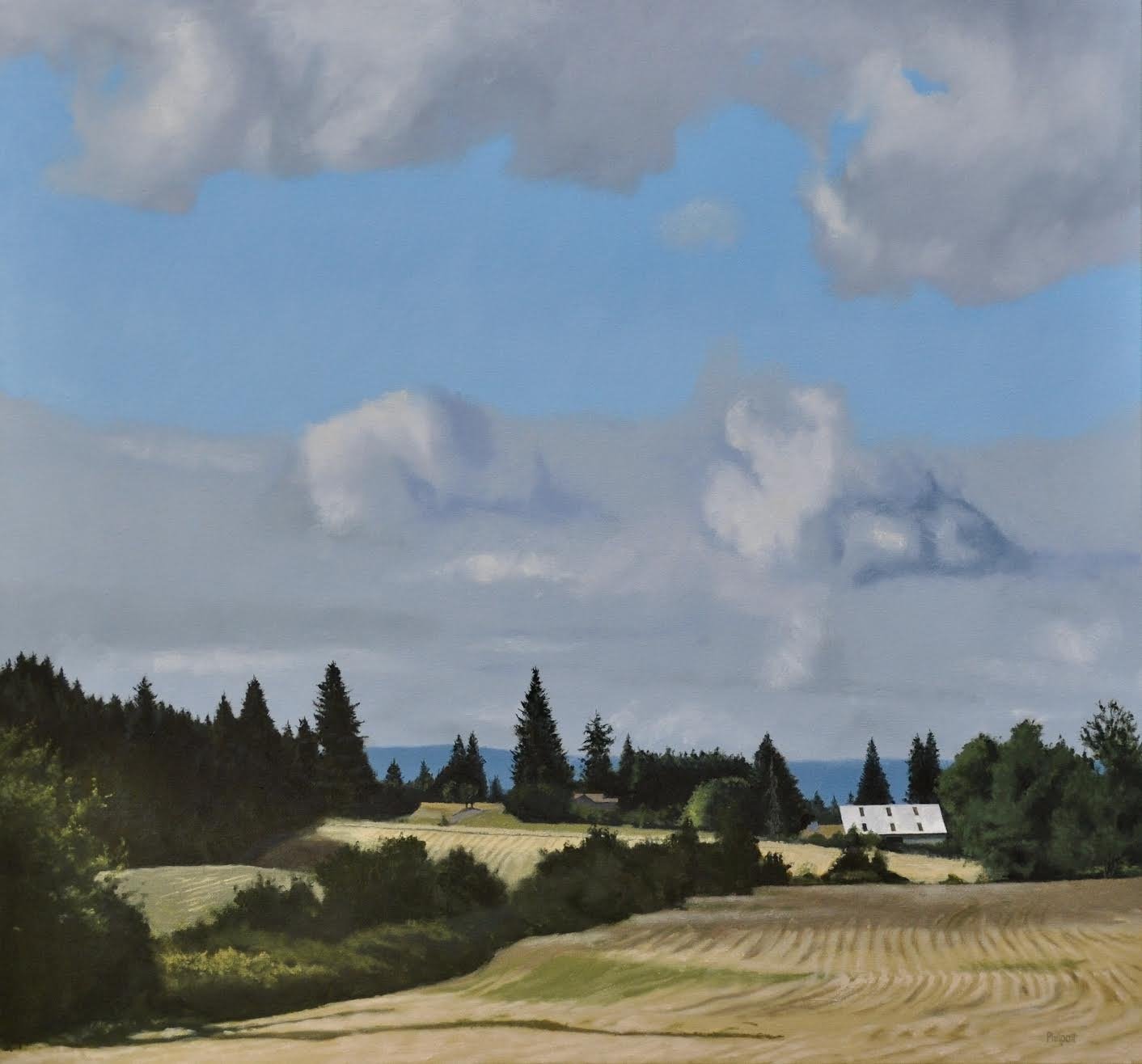 Deep Country by Neal Philpott