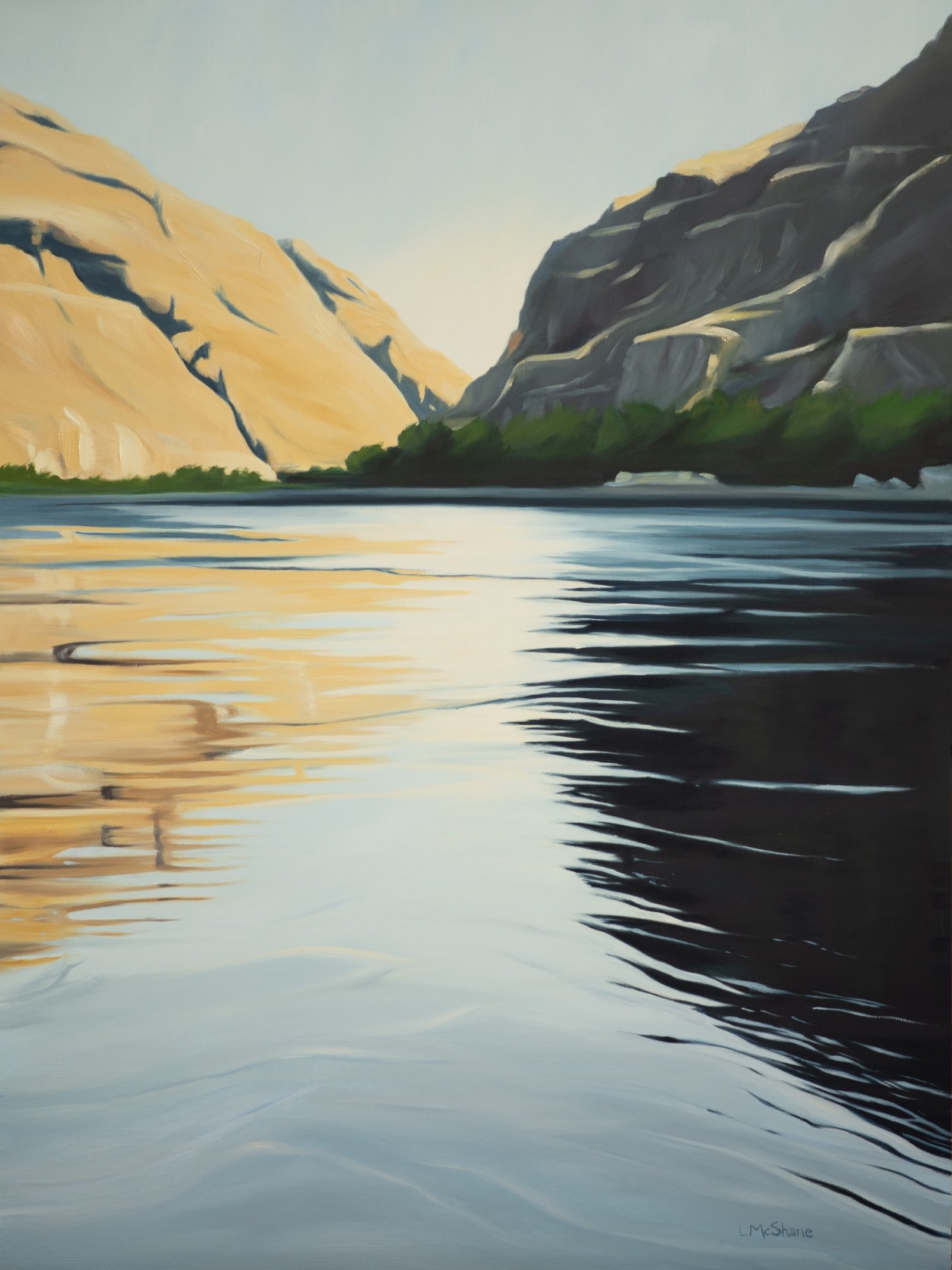 Deep Into the Canyon the River Moves by Lisa McShane