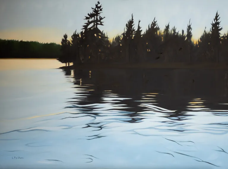 Lisa McShane — Deep Lake