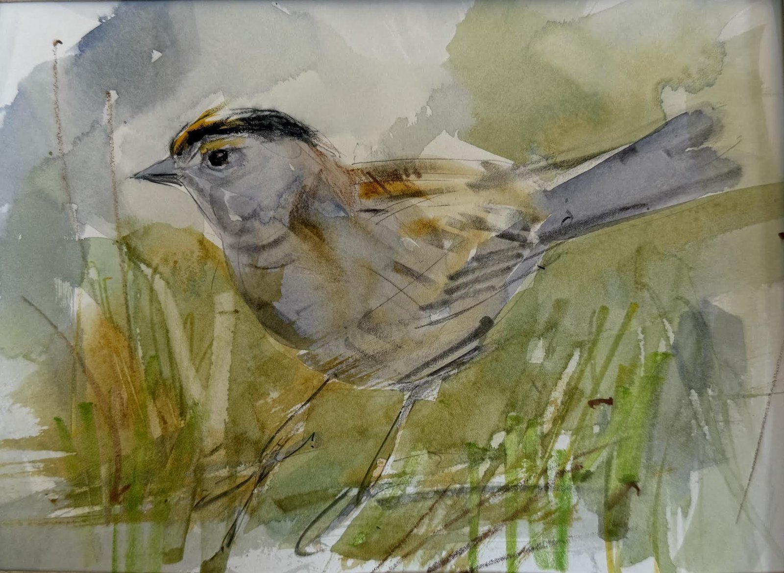 Golden-Crowned Sparrow 3 by Randena Walsh