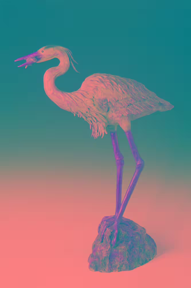 Heron