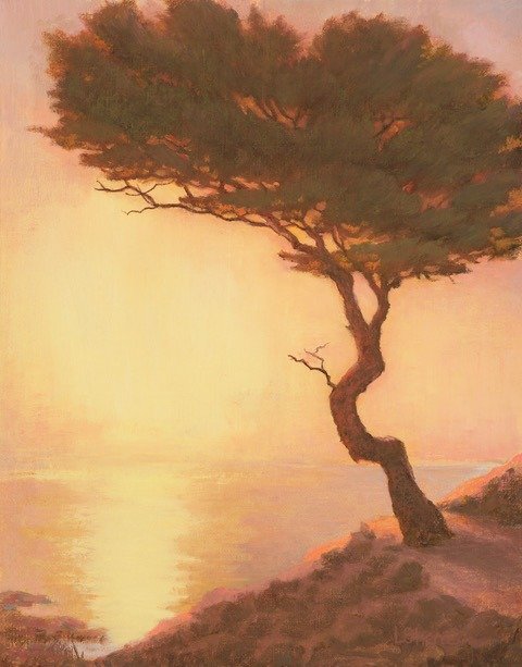 Radiance by Lolly Shera