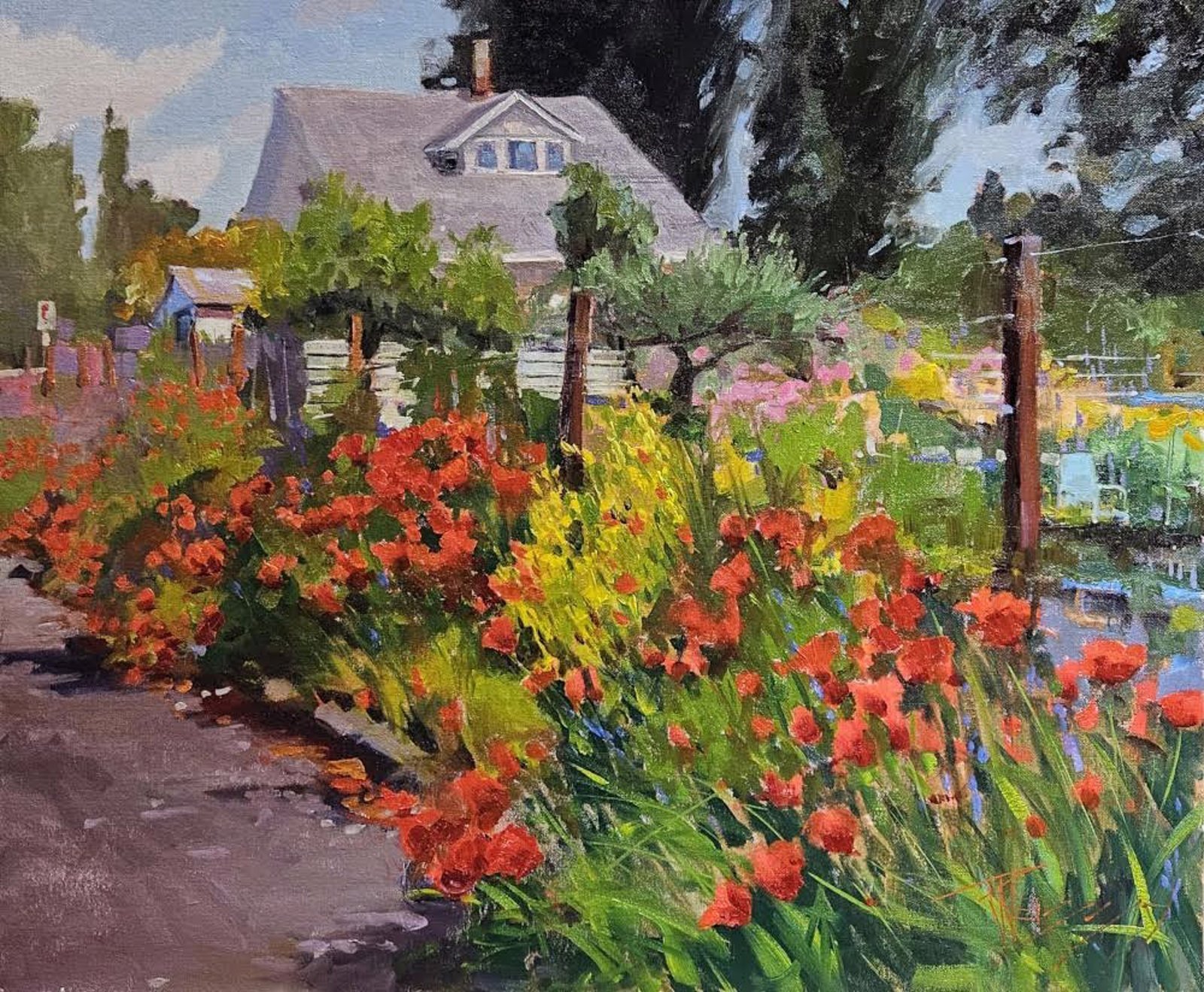 Garden Poppies