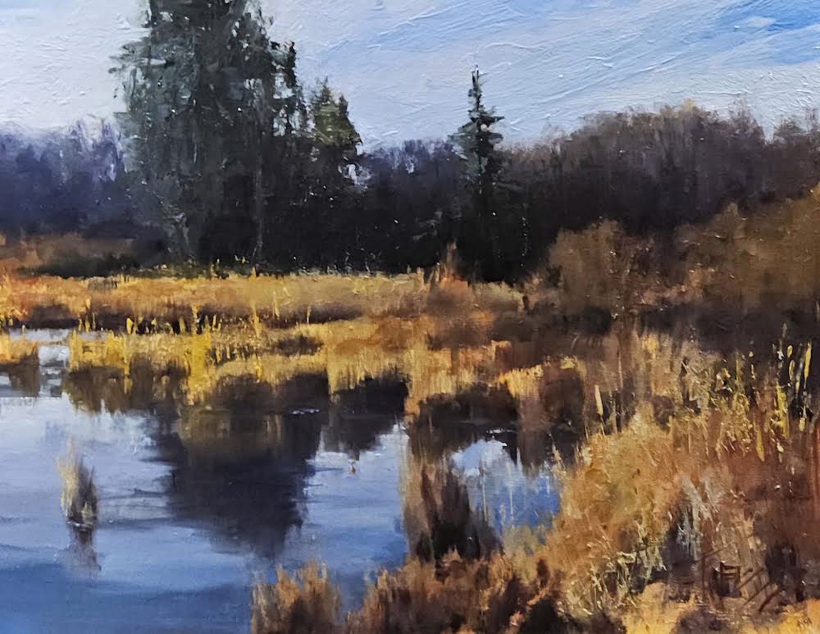 Washington Wetlands