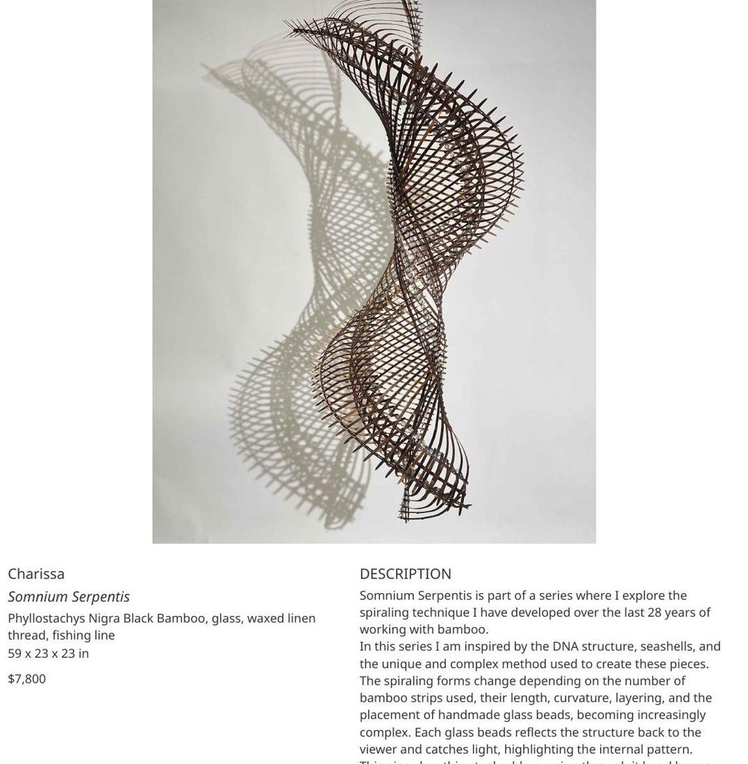 Somnium Serpentis by Charissa Brock