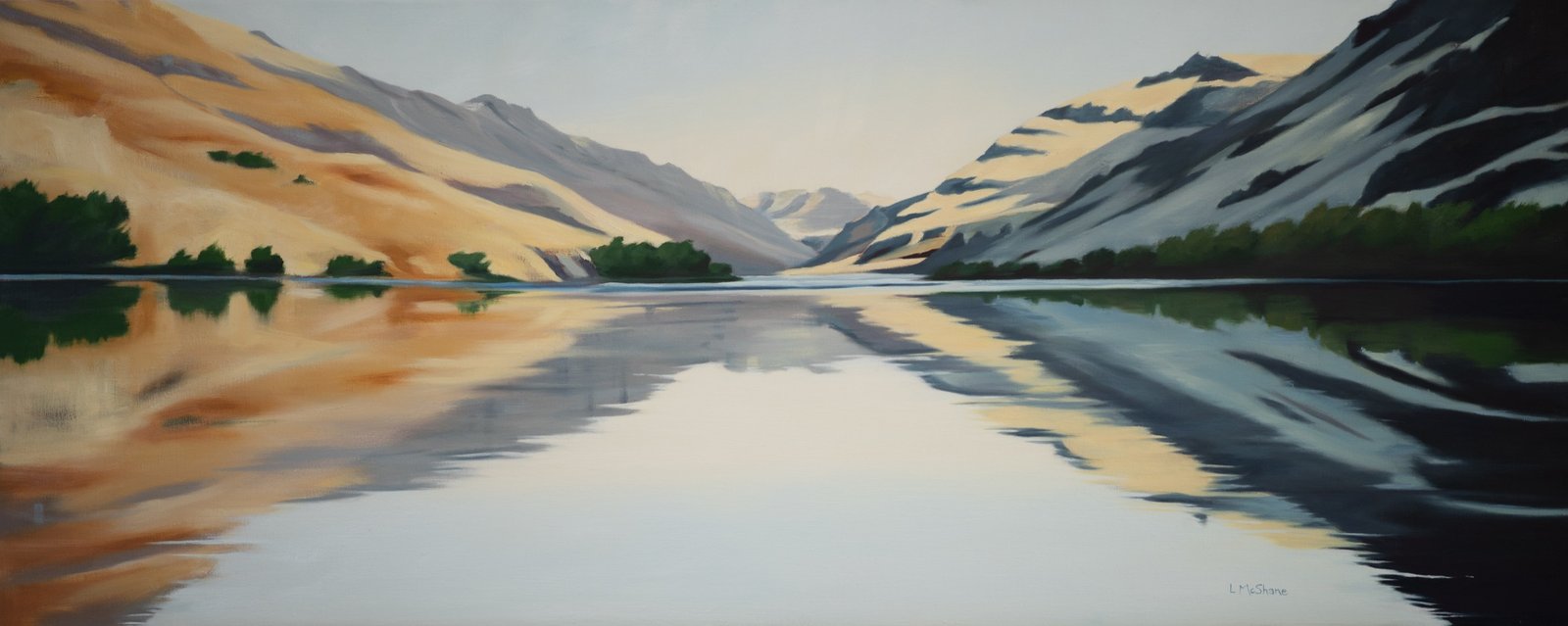 The River's Own Constant Joy by Lisa McShane