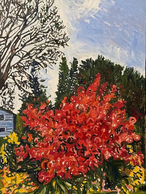 The Smoke Tree