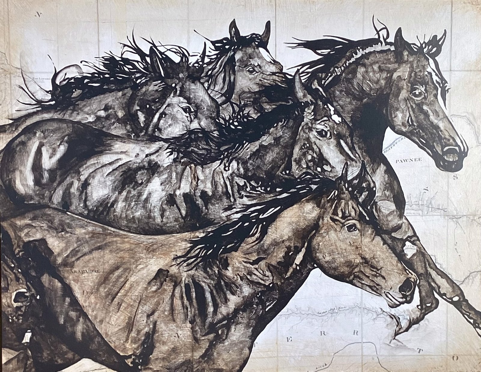 Wild Horses