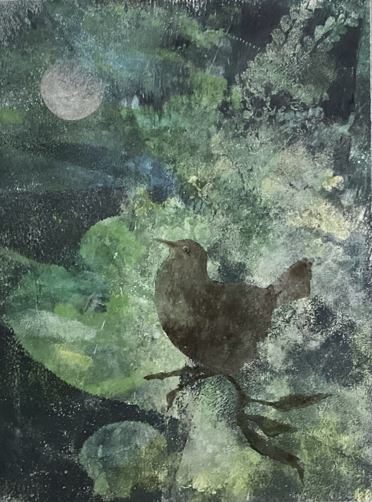 Wren In The Moonlight by Pamela Wachtler