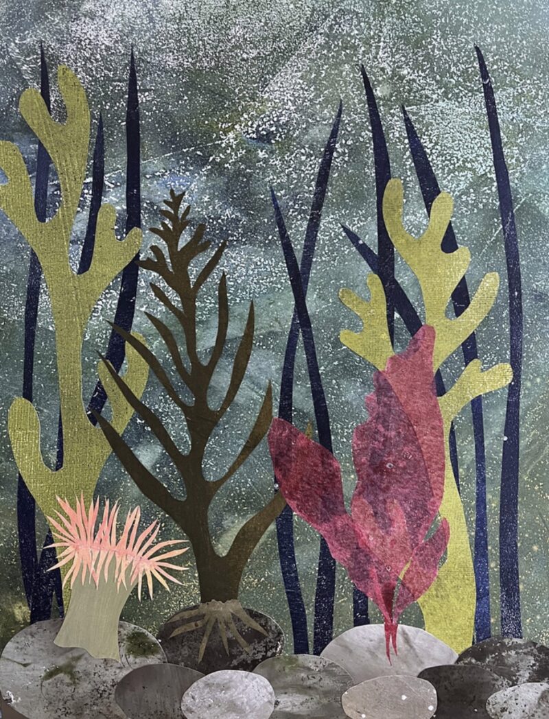 Tidal Dreams by  Amy Ferron