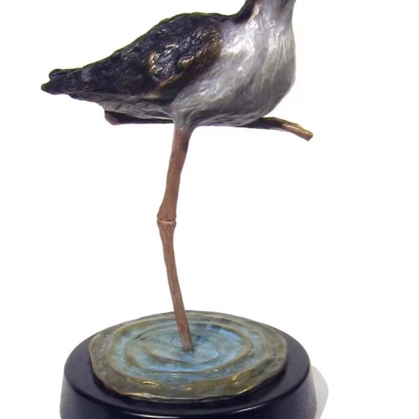 Black Backed Stilt