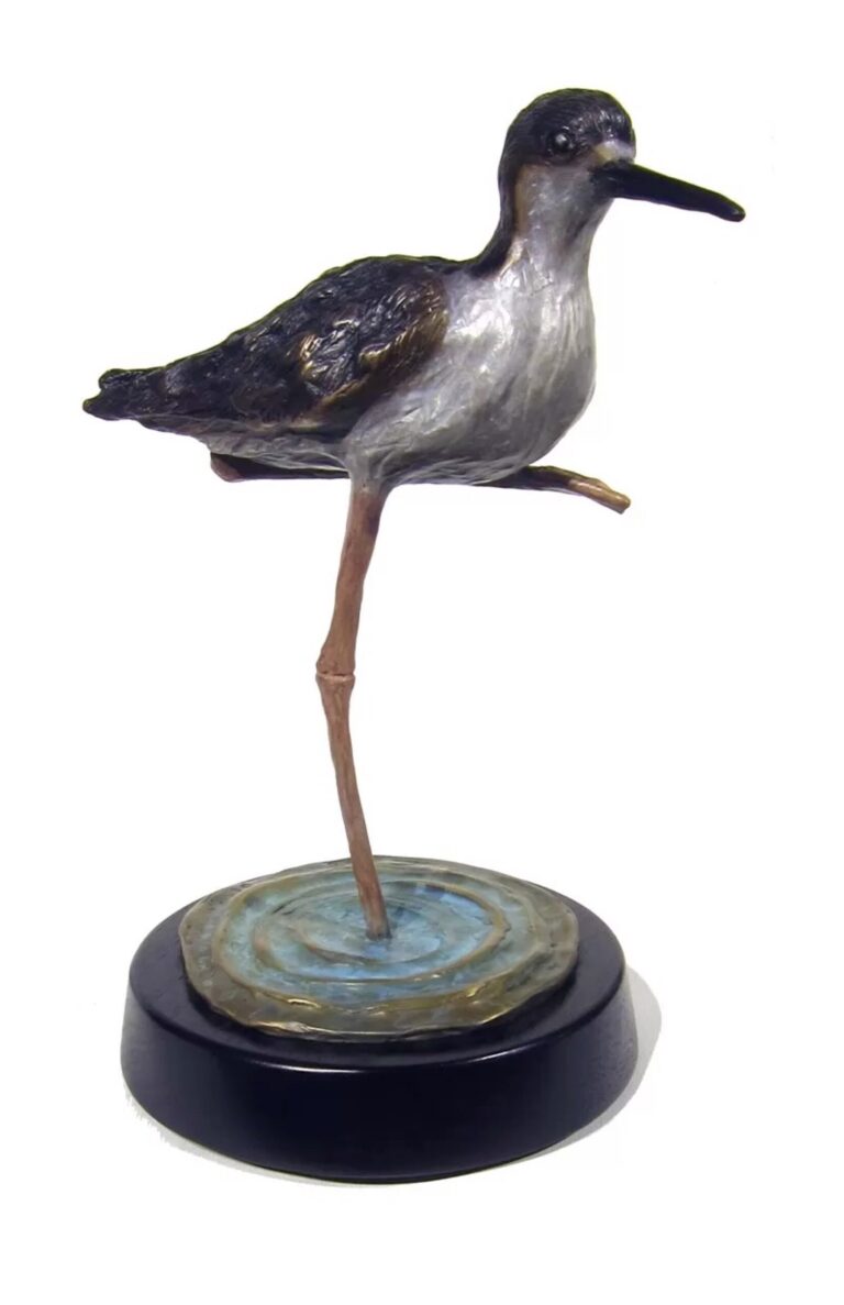 Black Backed Stilt by Barbara Duzan