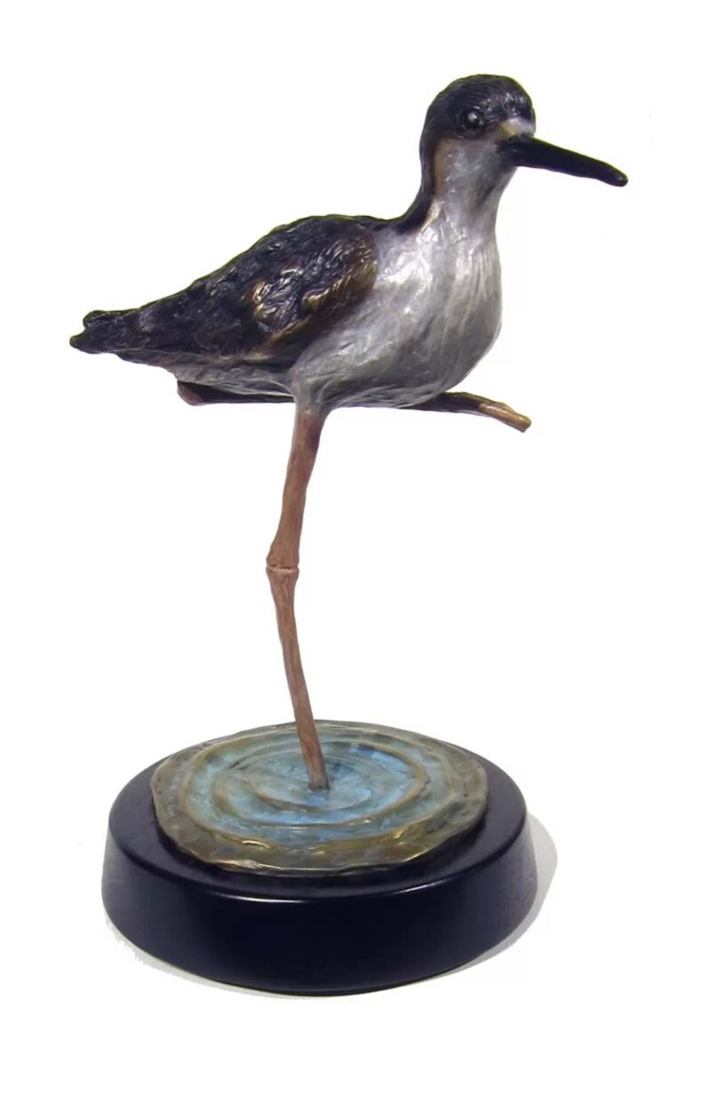 Black Backed Stilt