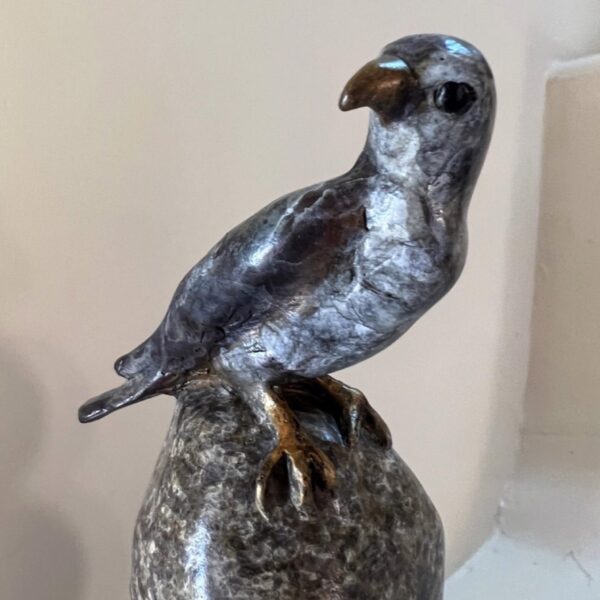 Falcon Cairn