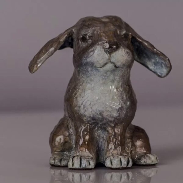 Flopsy, Lop Eared Bunny