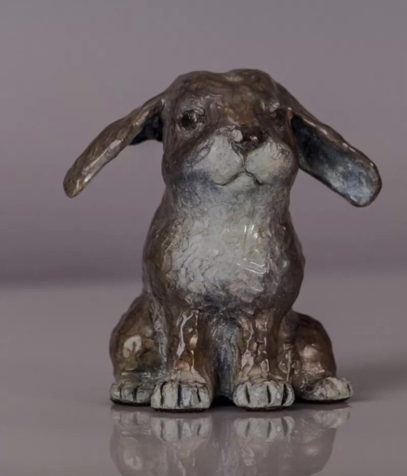 Flopsy, Lop Eared Bunny