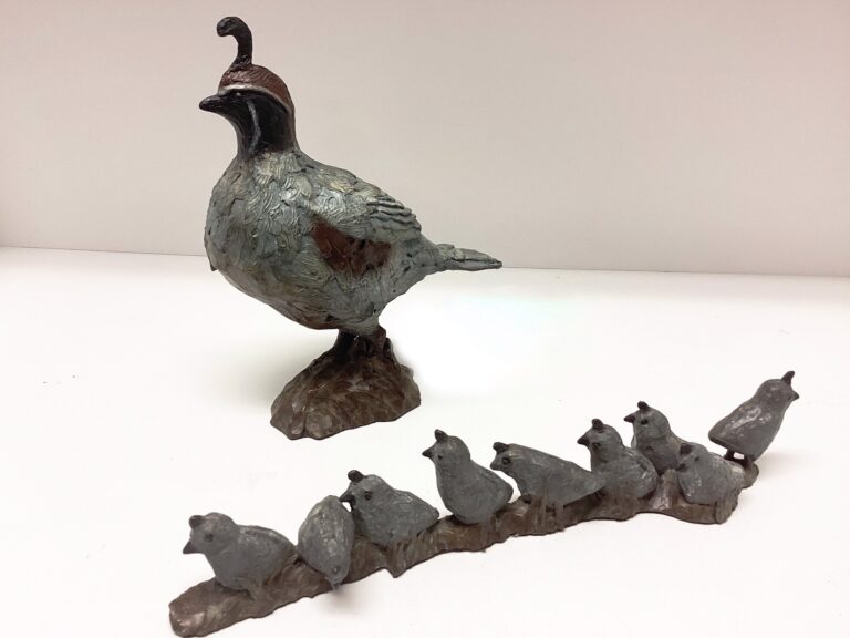 Quail Family by Barbara Duzan