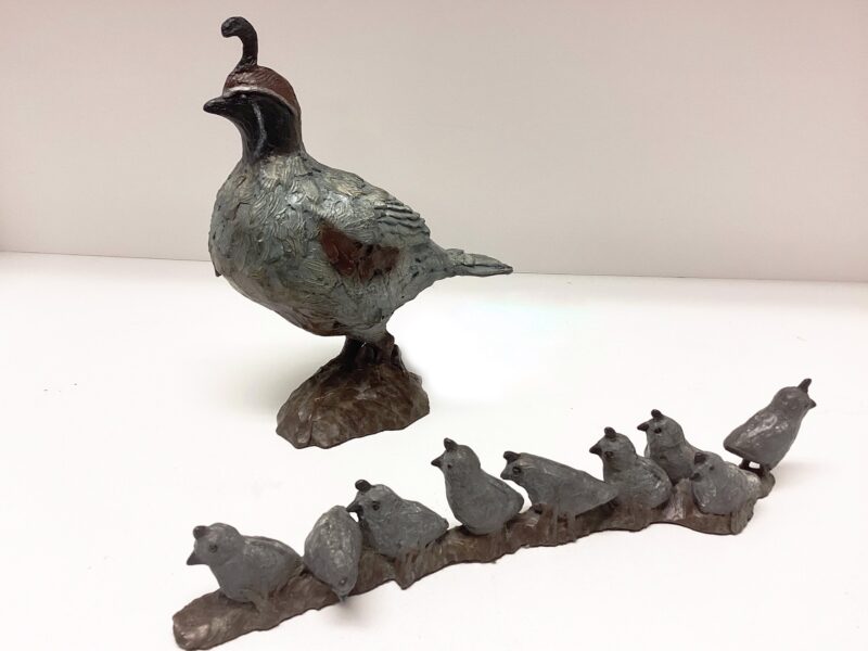 Quail Family