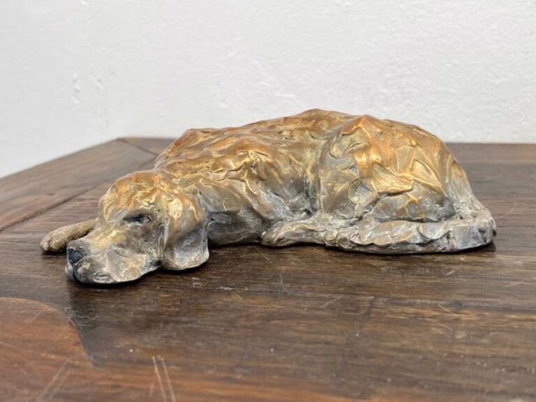 Snoozing Golden by Barbara Duzan