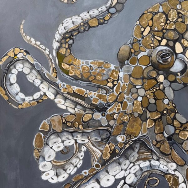 Octopus