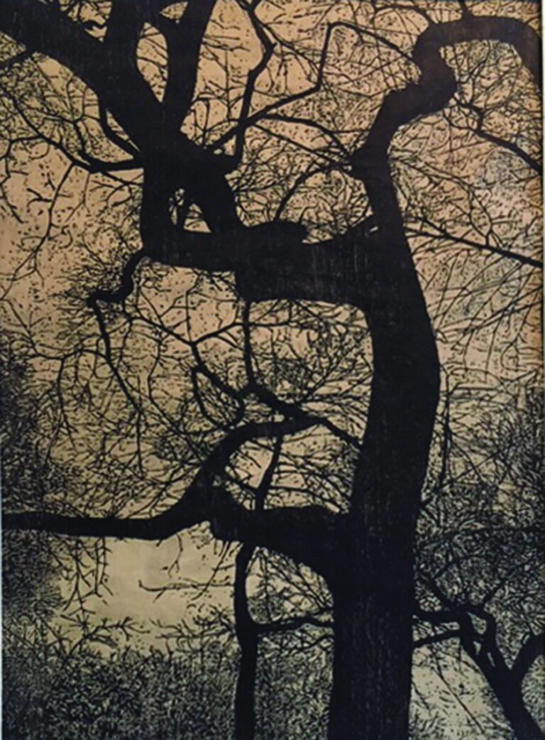 Central Park by Gary Groves