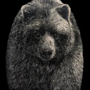 It's In the Detail (/25)