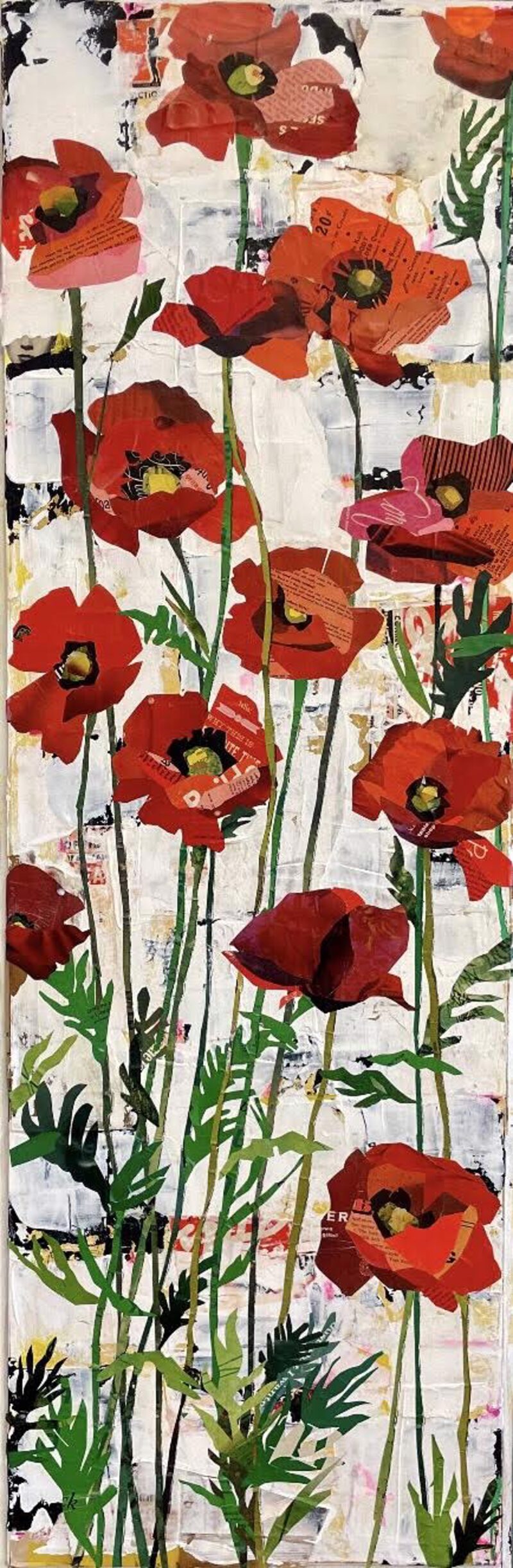 Poppies