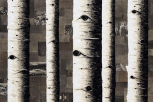 From Near and Far (6/25)