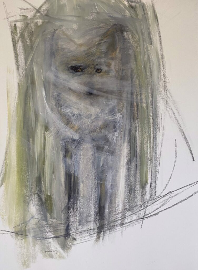 Glimpse | Coyote by Theresa Gray