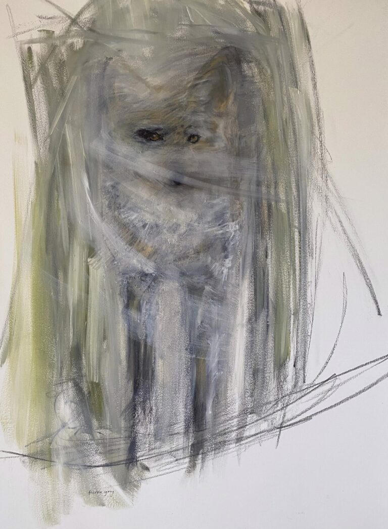 Glimpse | Coyote by Theresa Gray