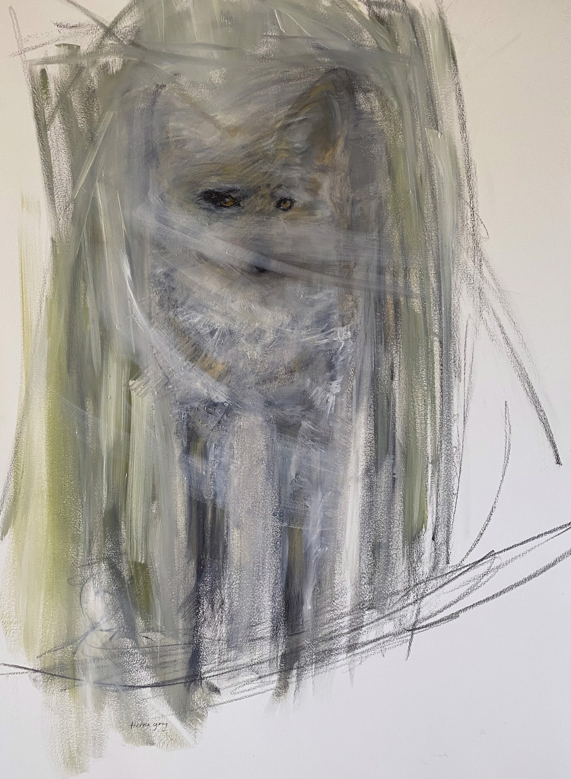 Glimpse: Coyote — Theresa Gray