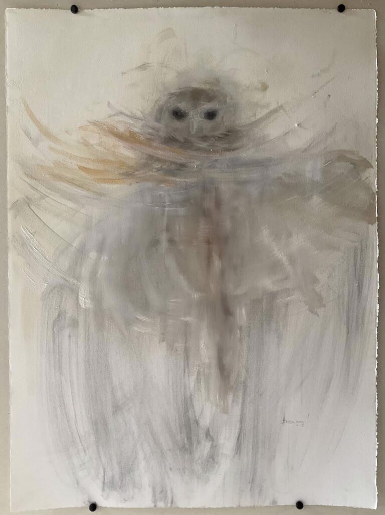 Glimpse | Owl || by Theresa Gray