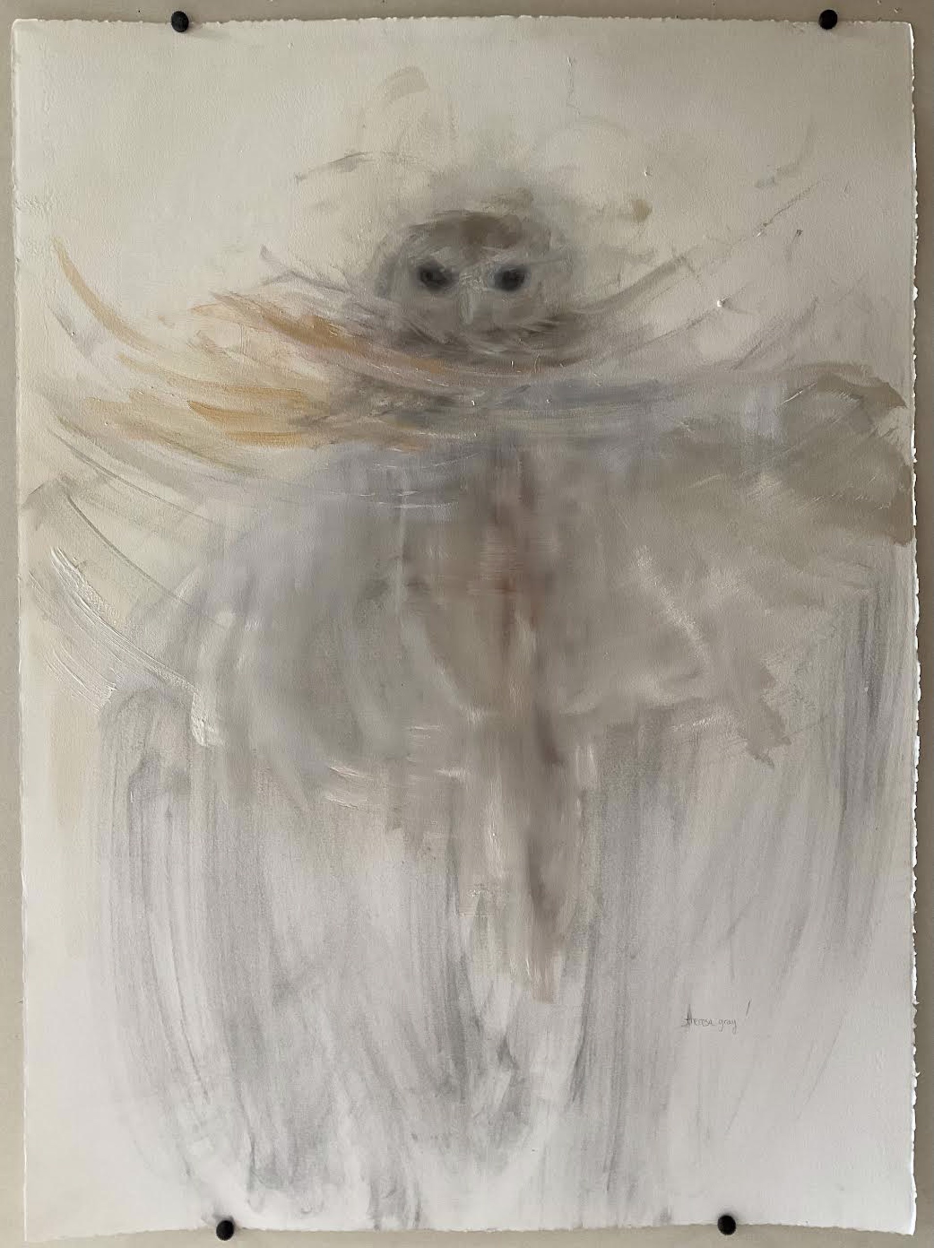 Glimpse: Owl — Theresa Gray