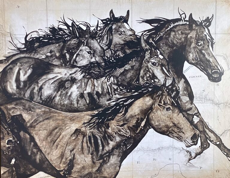 Wild Horses by Will Armstrong