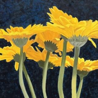 Neal Philpott