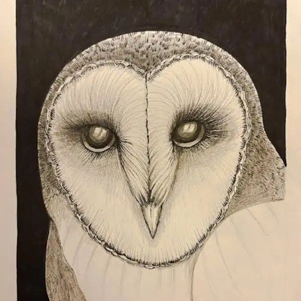 Barn Owl by Fumi Matsumoto
