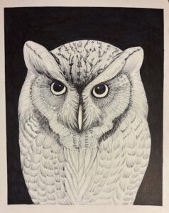 Owl