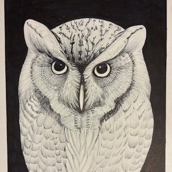 Owl by Fumi Matsumoto