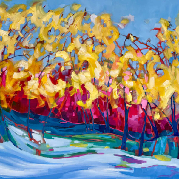 Aspen Grove