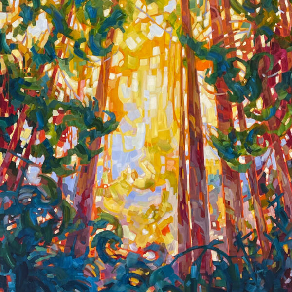 Cathedral Grove
