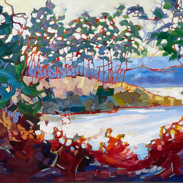 Patos Island