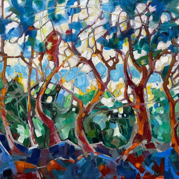 Spirit’s In The Trees